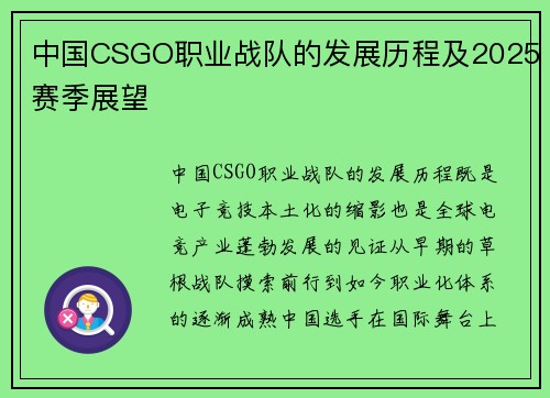 中国CSGO职业战队的发展历程及2025赛季展望